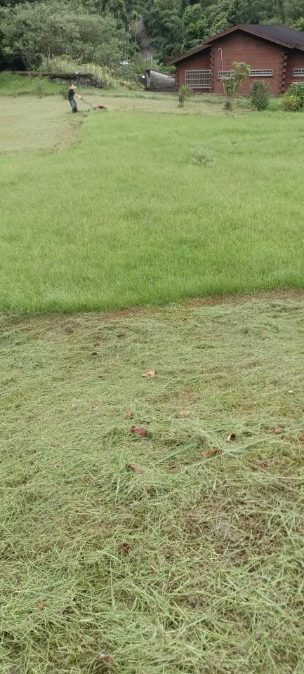 園藝維護案件圖片