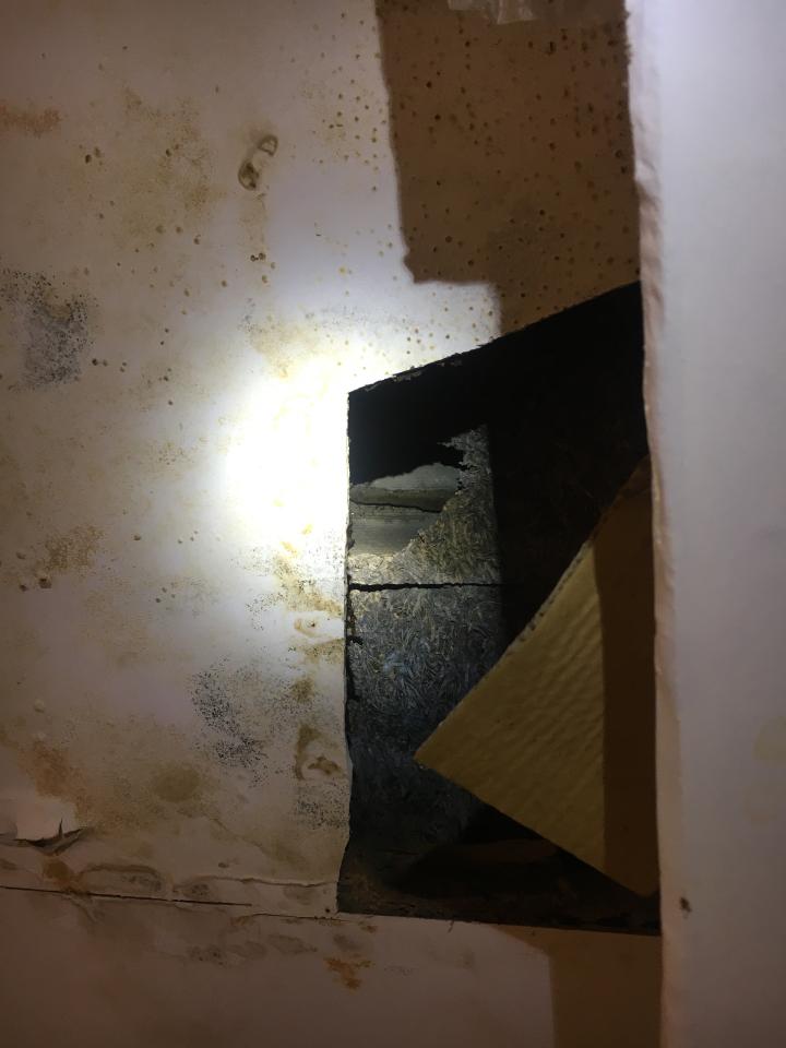 鐵皮屋頂案件圖片