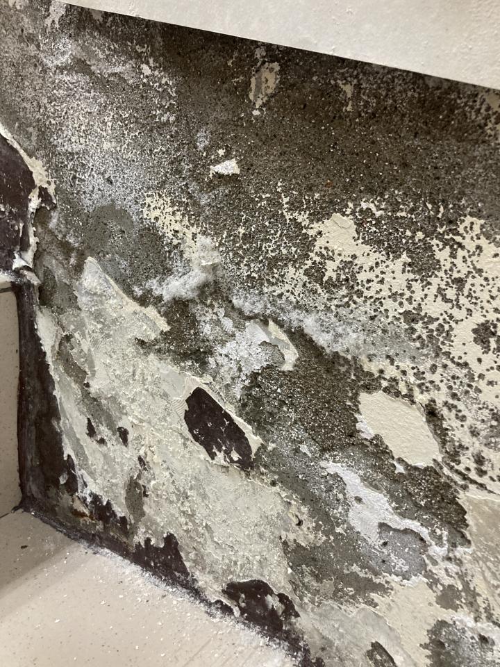 壁癌處理案件圖片