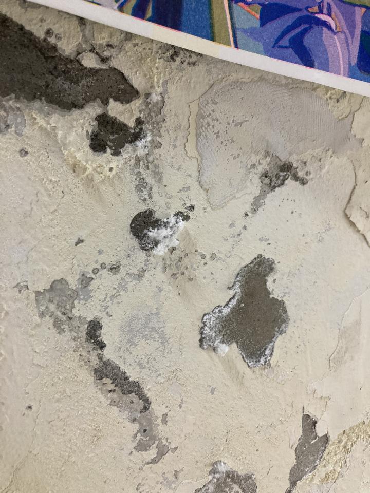 壁癌處理案件圖片