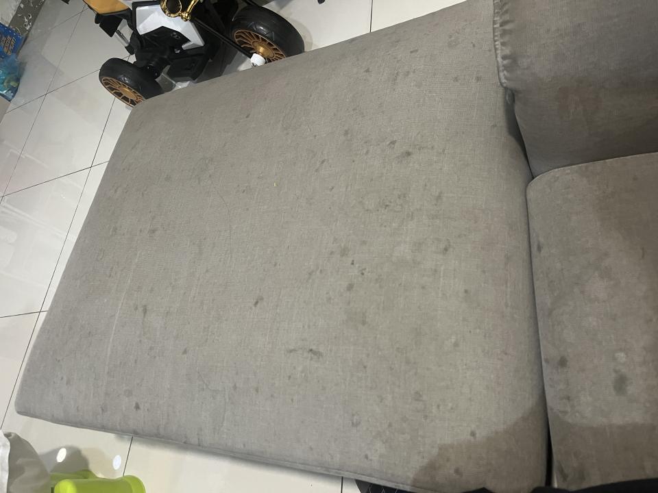 沙發清潔案件圖片