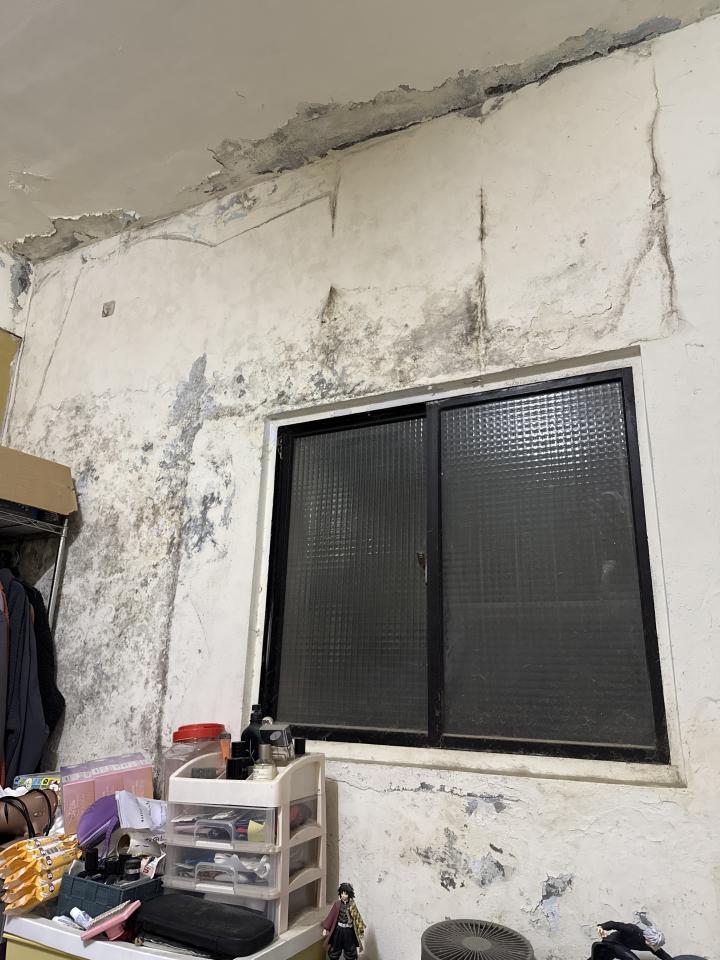 壁癌處理案件圖片