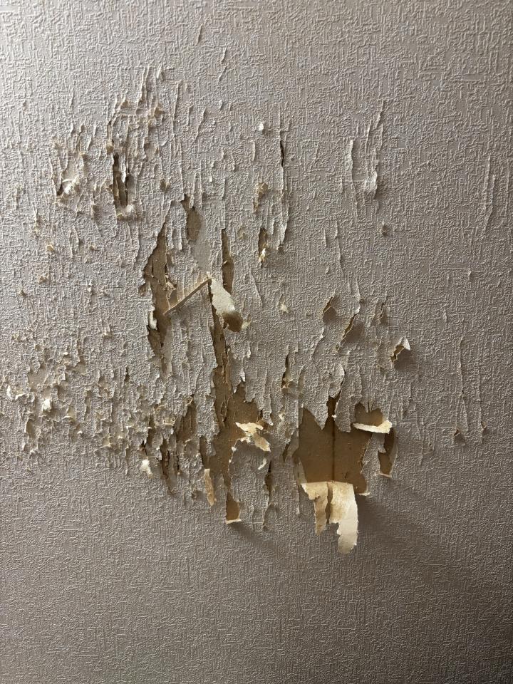 壁紙施工案件圖片