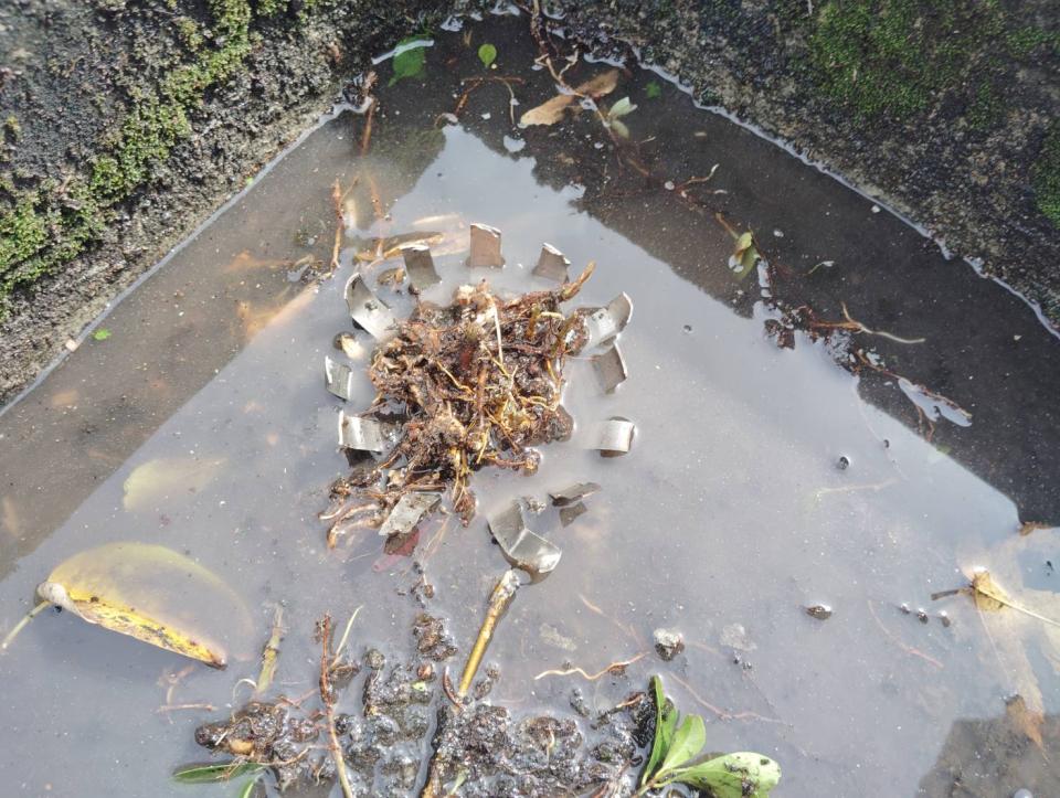 屋頂排水案件圖片