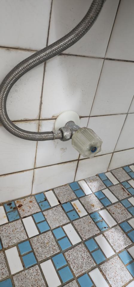 馬桶裝修案件圖片