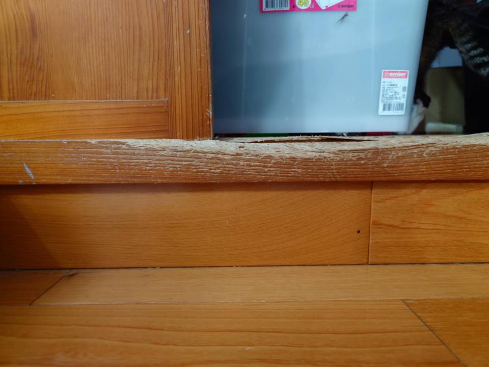 木工施工案件圖片