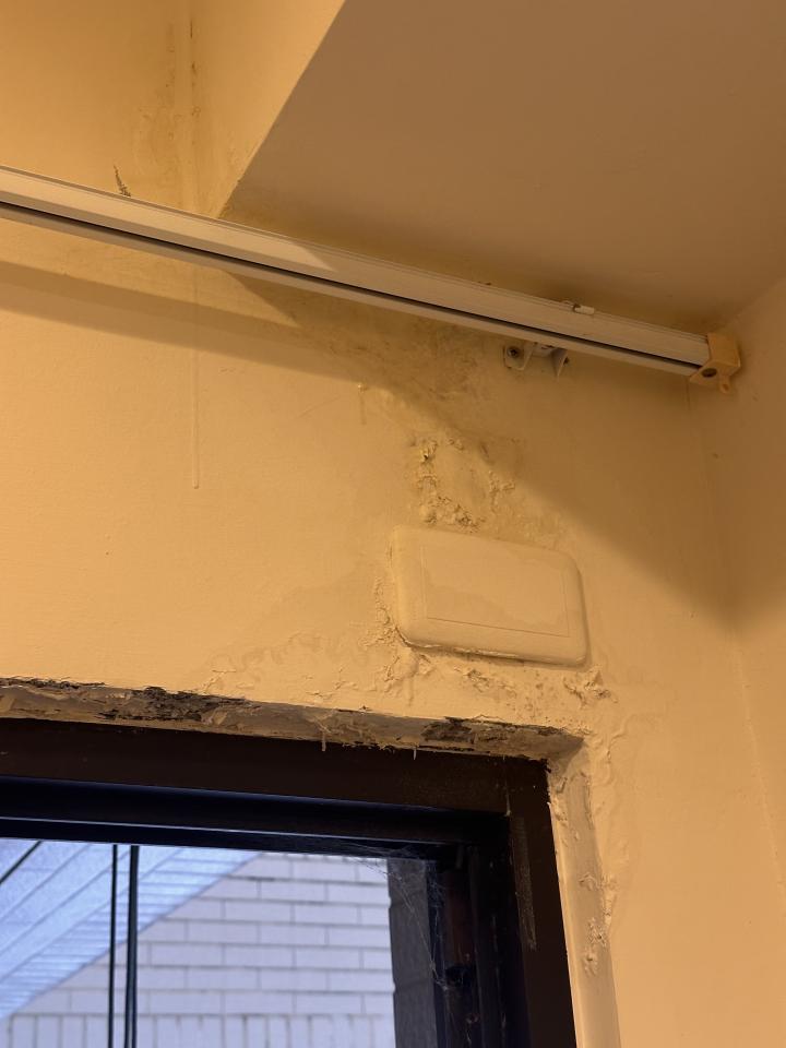 壁癌處理案件圖片