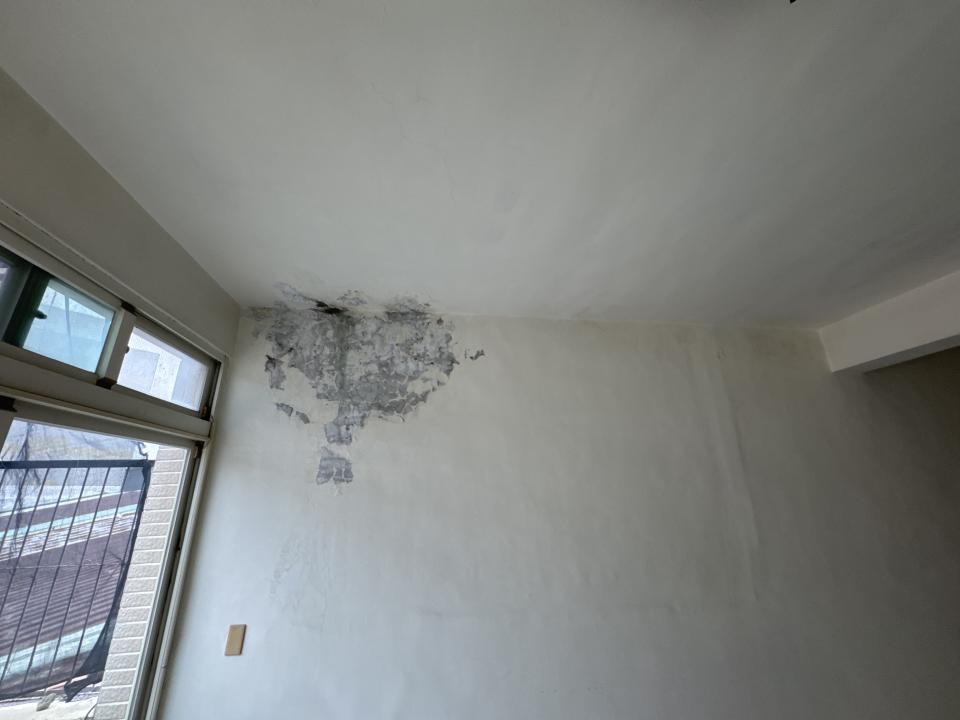 油漆工程案件圖片