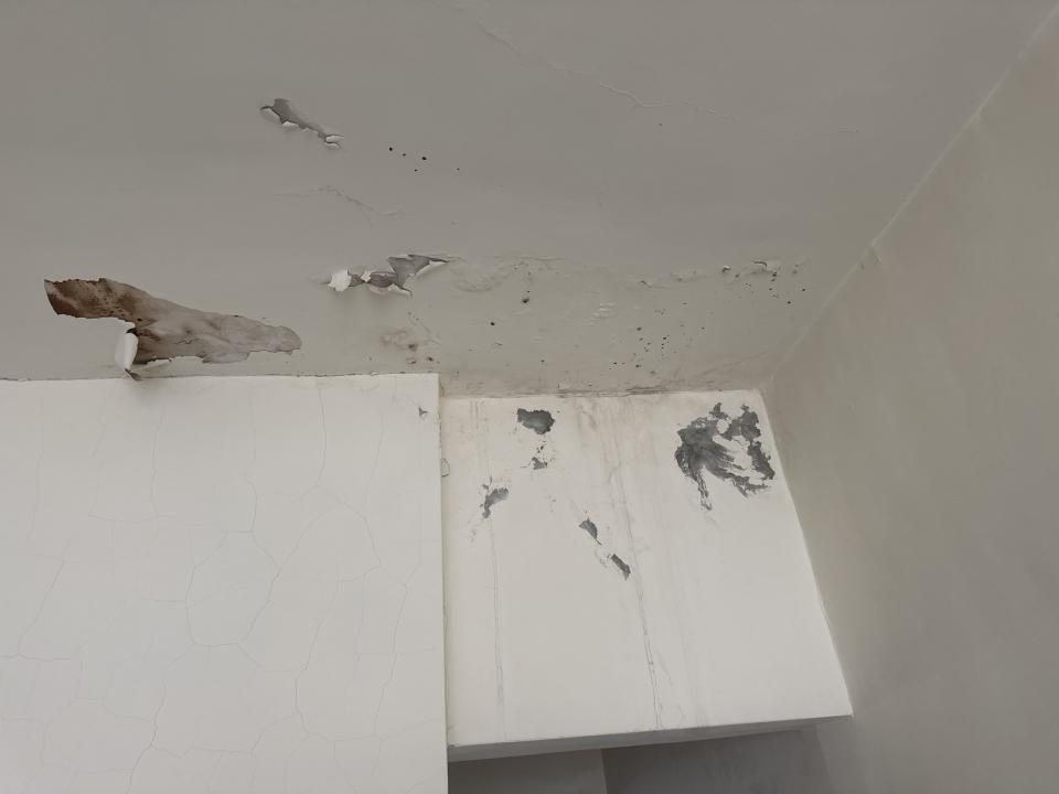 油漆工程案件圖片