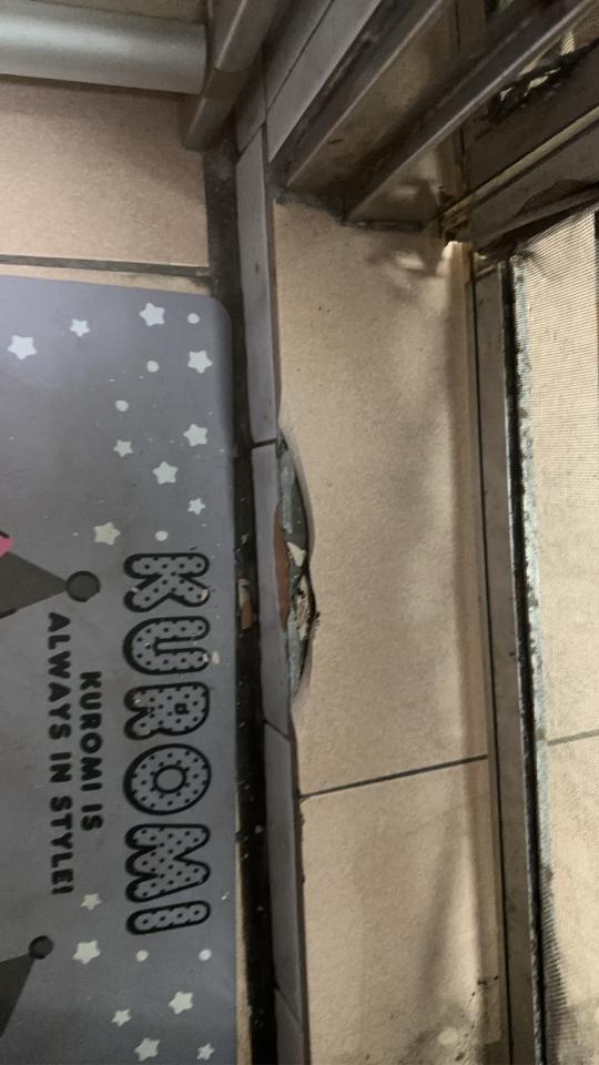 磁磚修補案件圖片