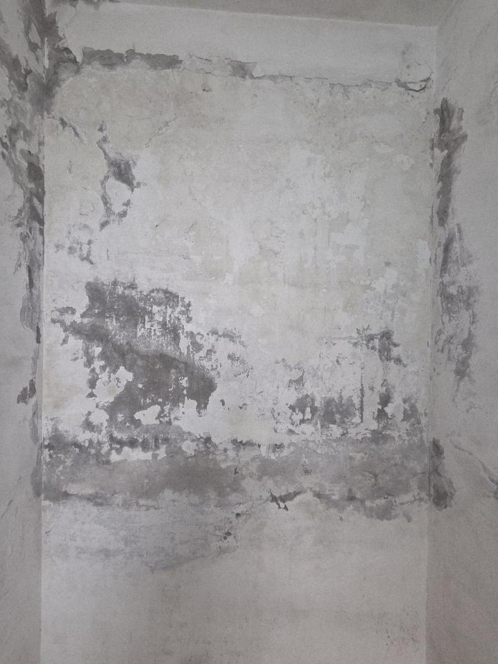 泥作/水泥施工案件圖片