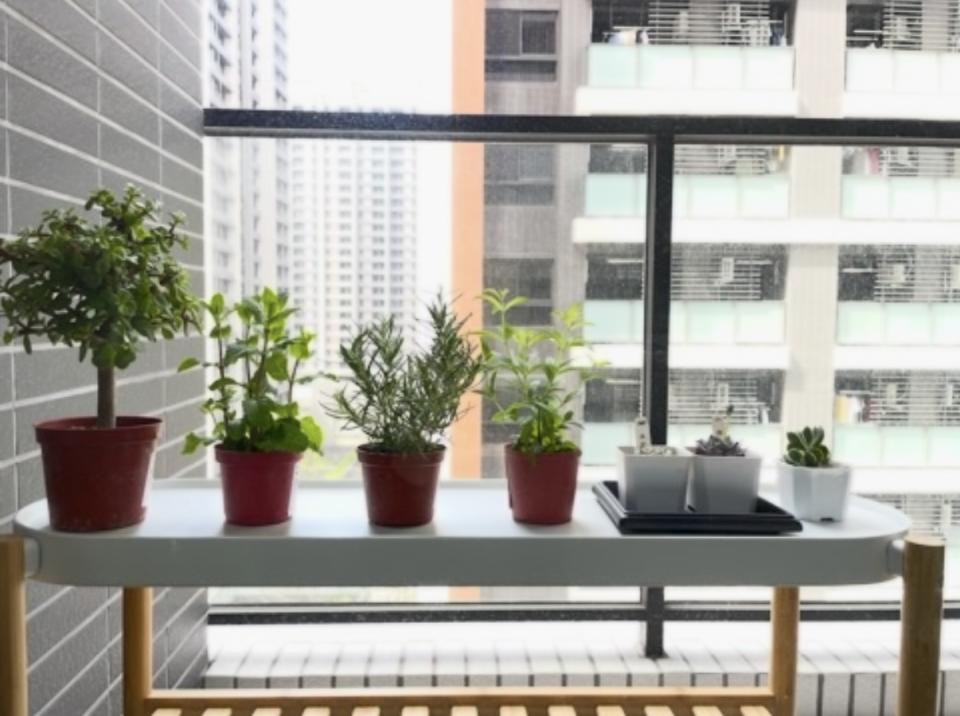 玻璃清潔案件圖片