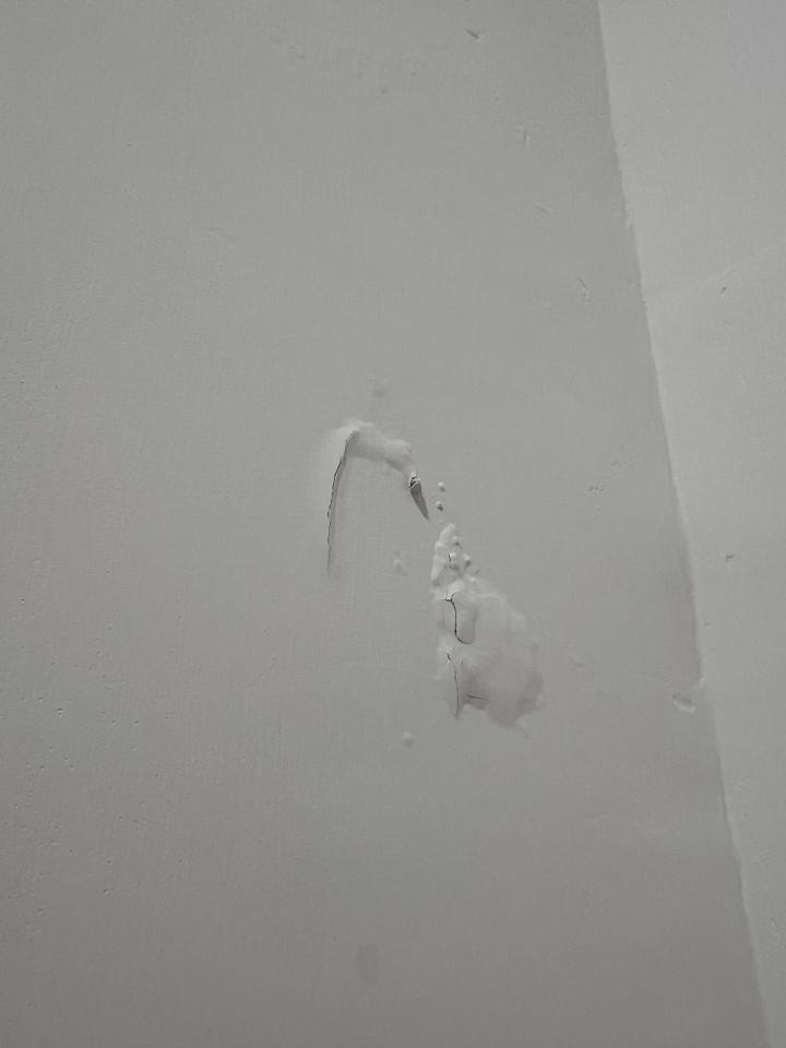 漏水鑑定案件圖片