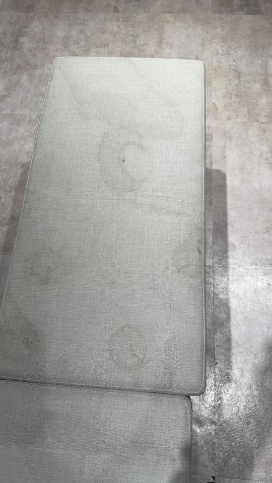 沙發清潔案件圖片