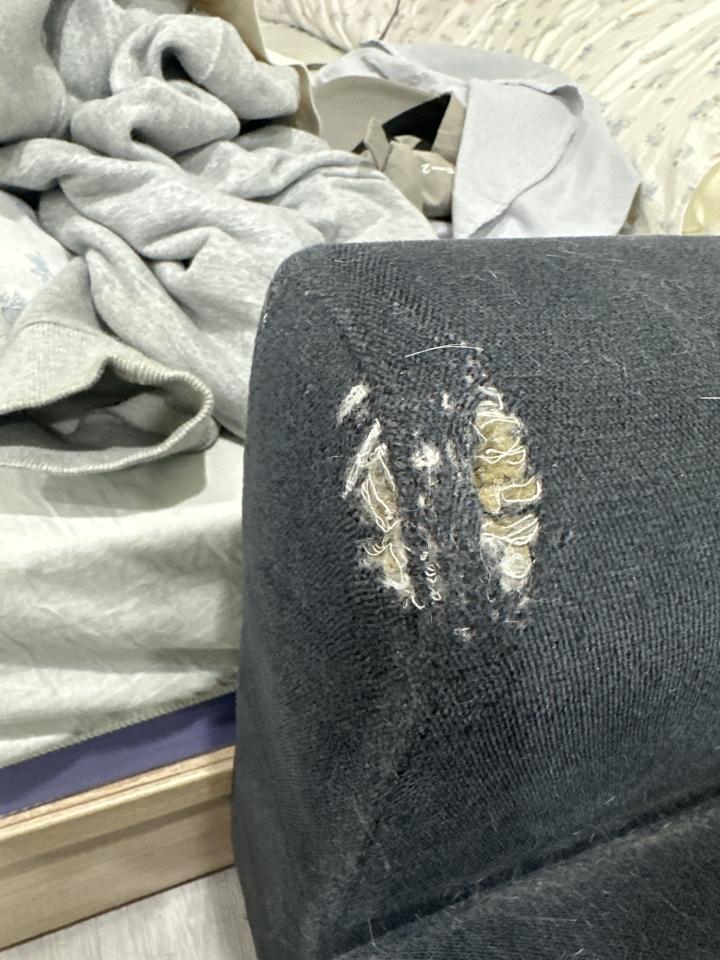 沙發修理案件圖片