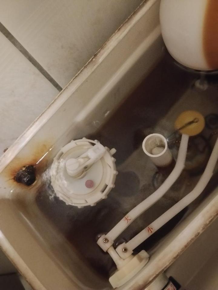 馬桶裝修案件圖片