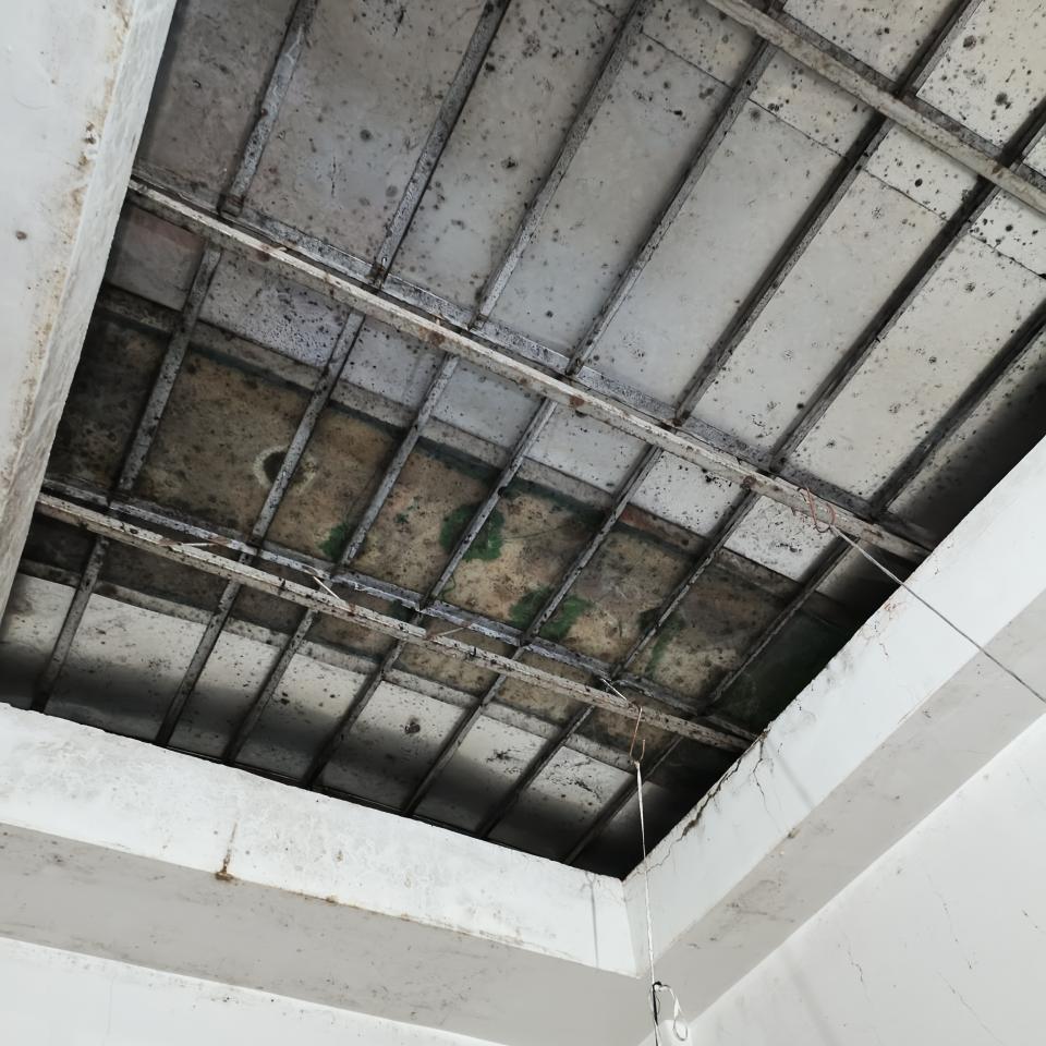 採光罩案件圖片