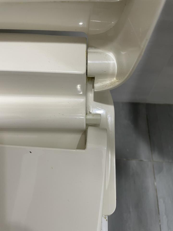 免治馬桶裝修案件圖片