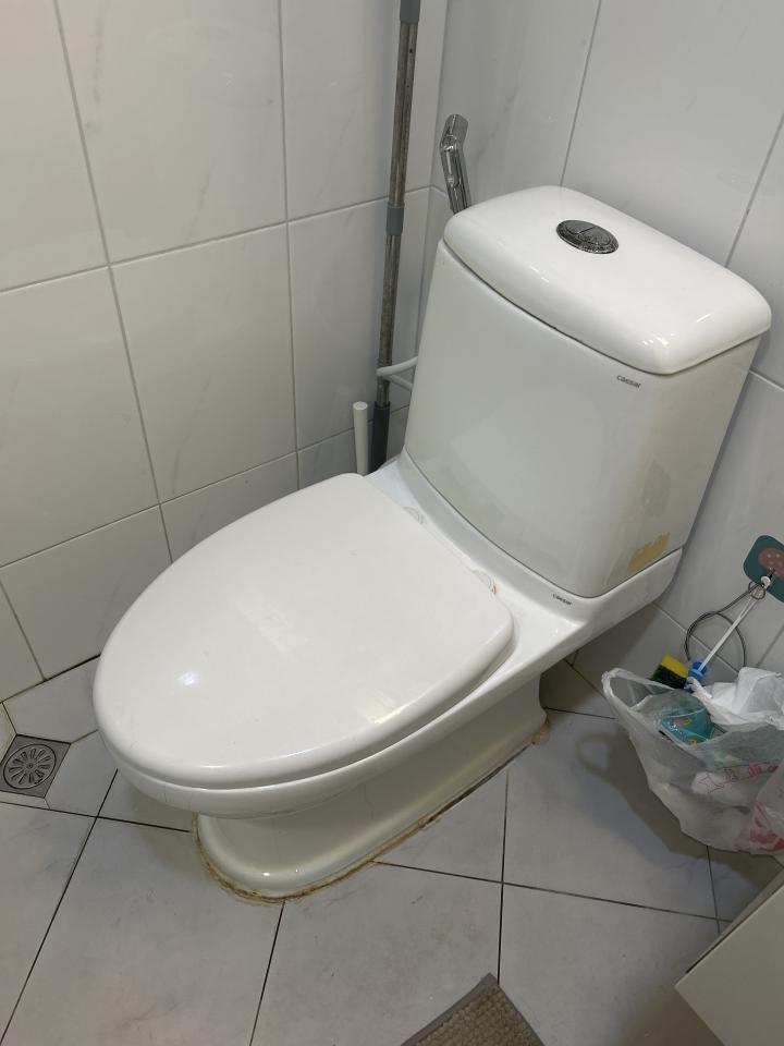 馬桶裝修案件圖片