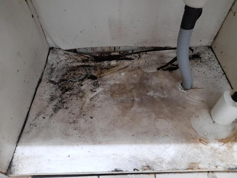 廚房翻新案件圖片