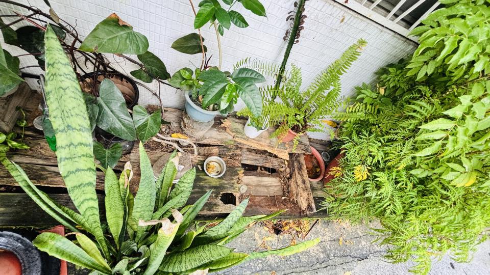 木工施工案件圖片