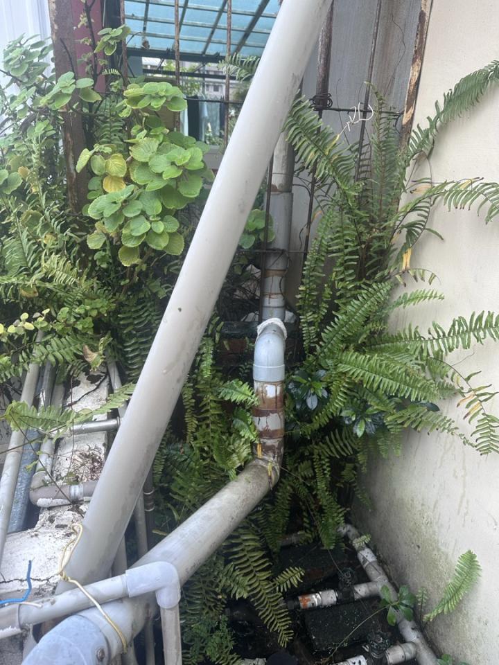 園藝維護案件圖片