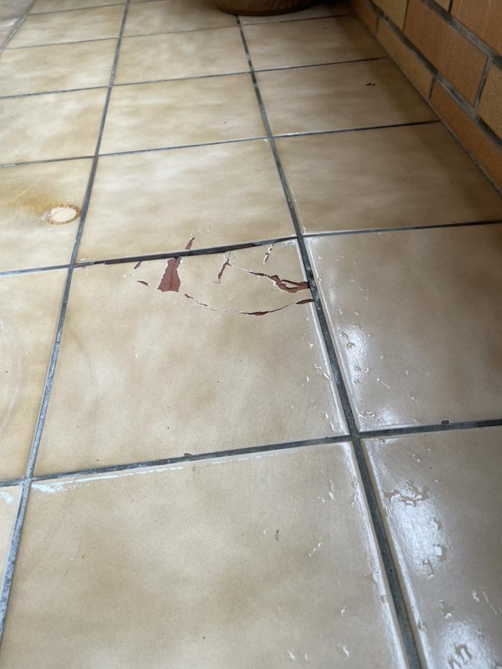 磁磚修補案件圖片