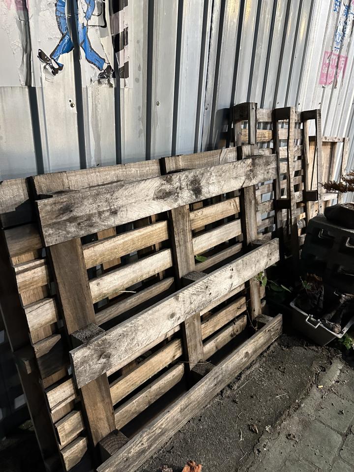 大型垃圾回收案件圖片