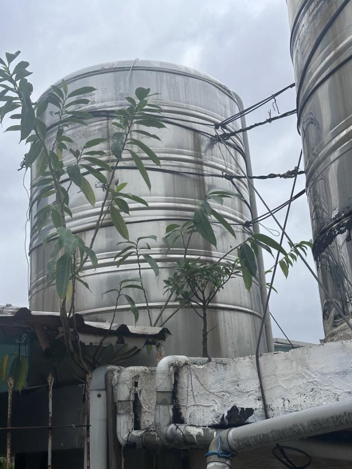 園藝維護案件圖片