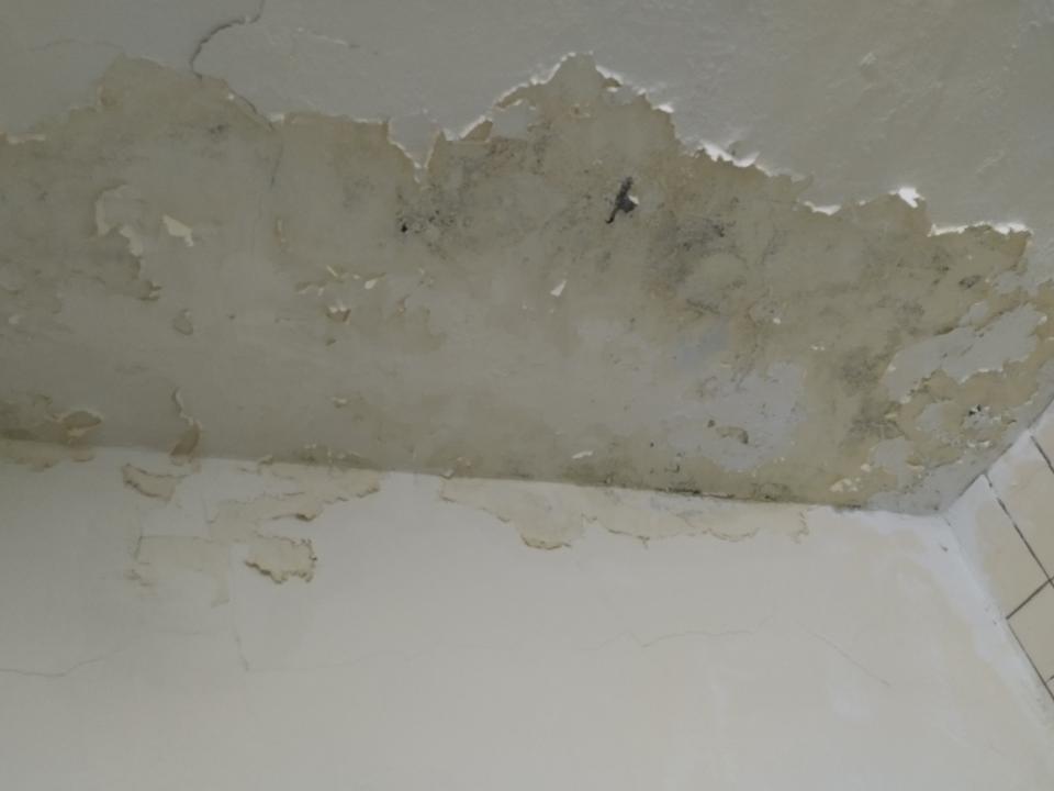 泥作/水泥施工案件圖片