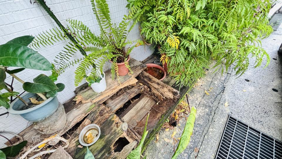 木工施工案件圖片