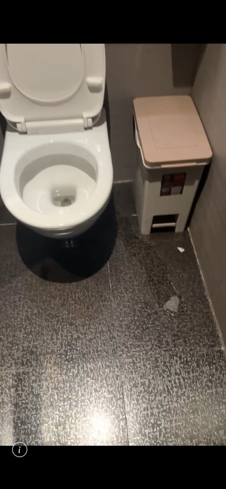 馬桶裝修案件圖片