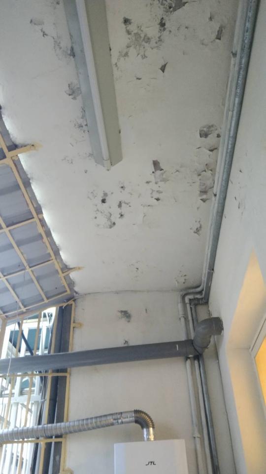 油漆工程案件圖片