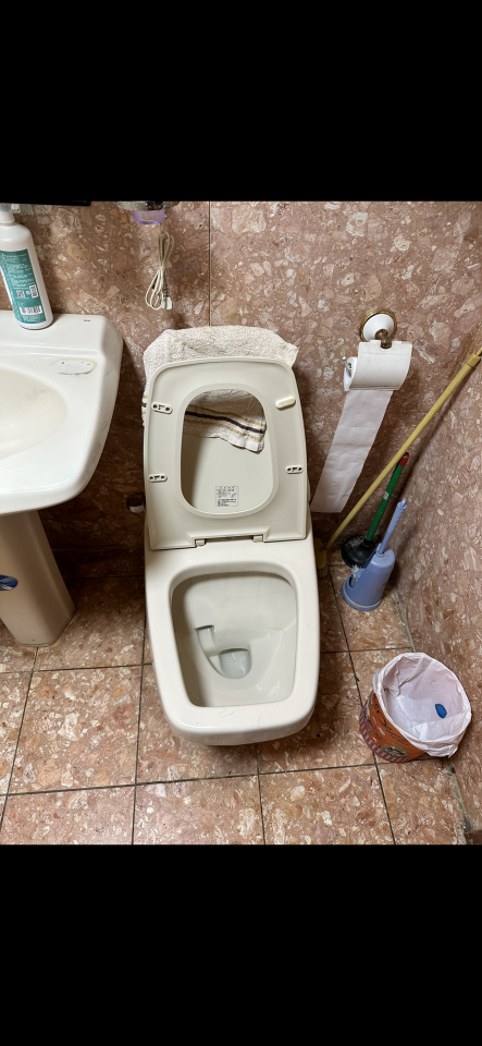 馬桶裝修案件圖片