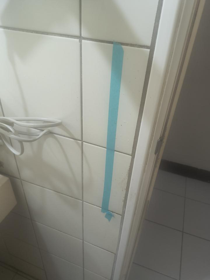 浴室扶手安裝案件圖片