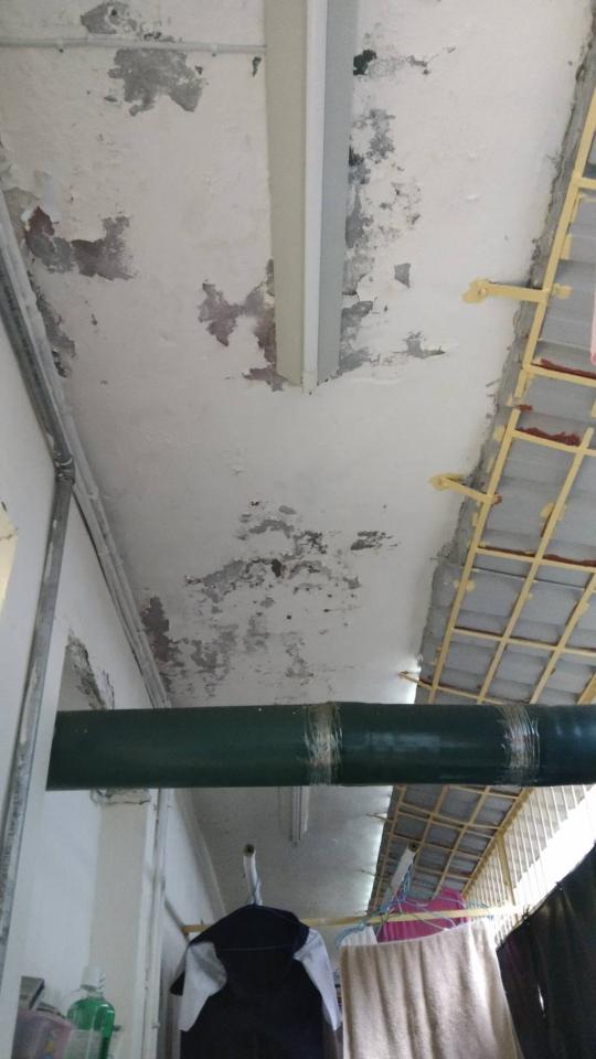 油漆工程案件圖片