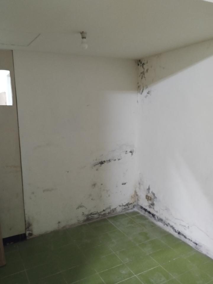 泥作/水泥施工案件圖片