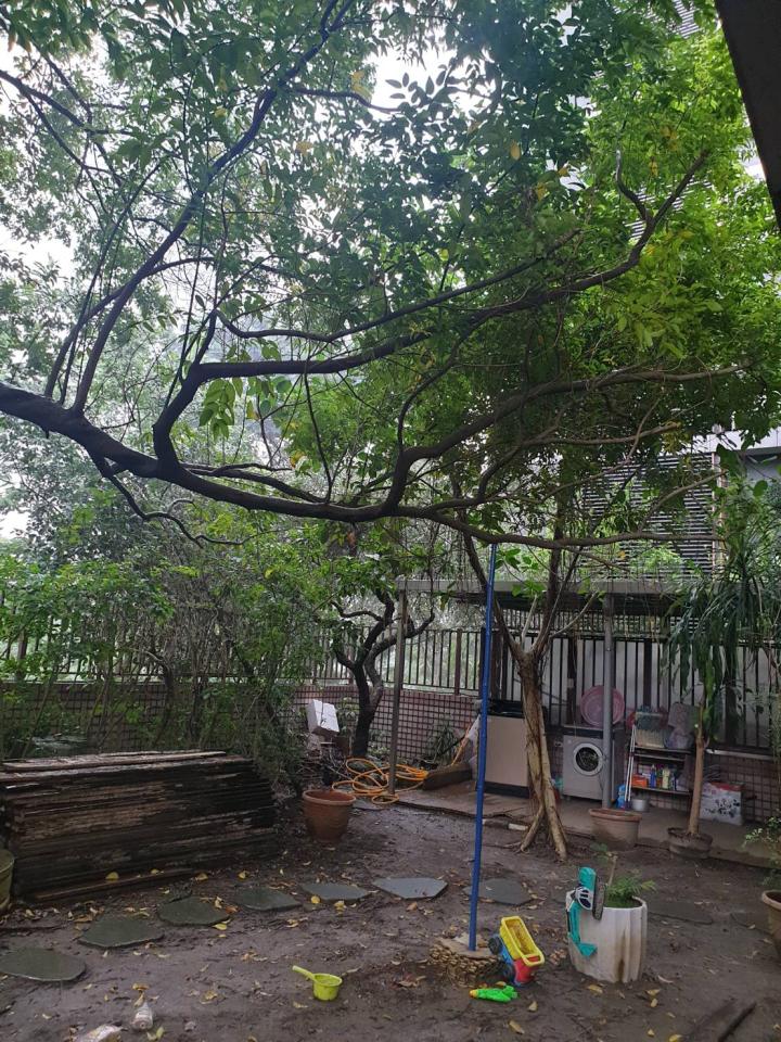 園藝維護案件圖片