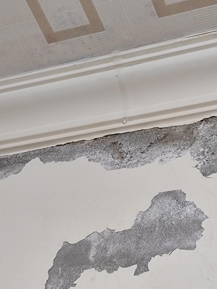 漏水處理案件圖片