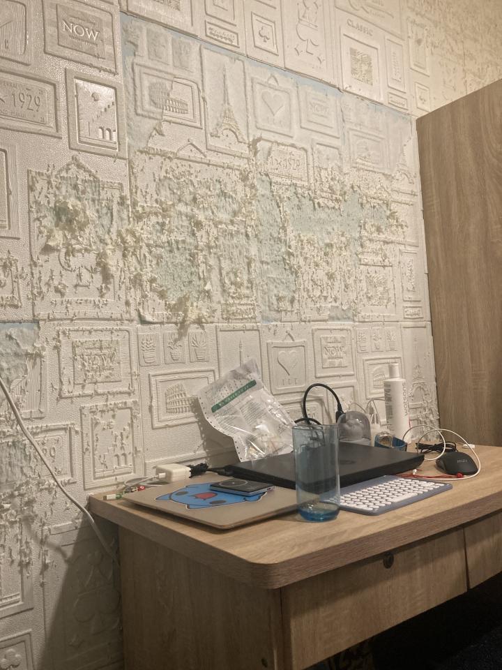 壁紙清除案件圖片