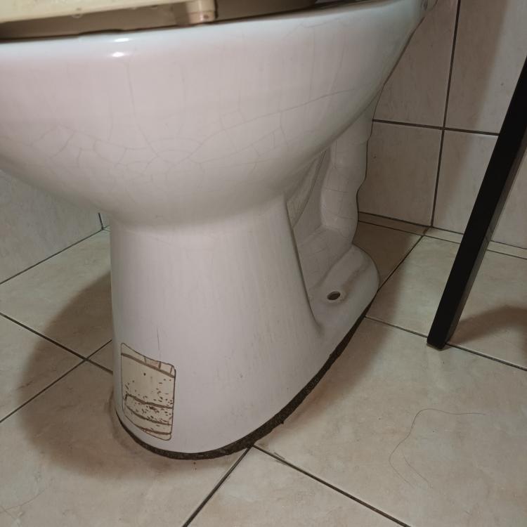 馬桶裝修案件圖片