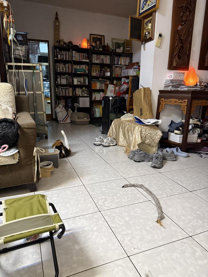 地板施工案件圖片