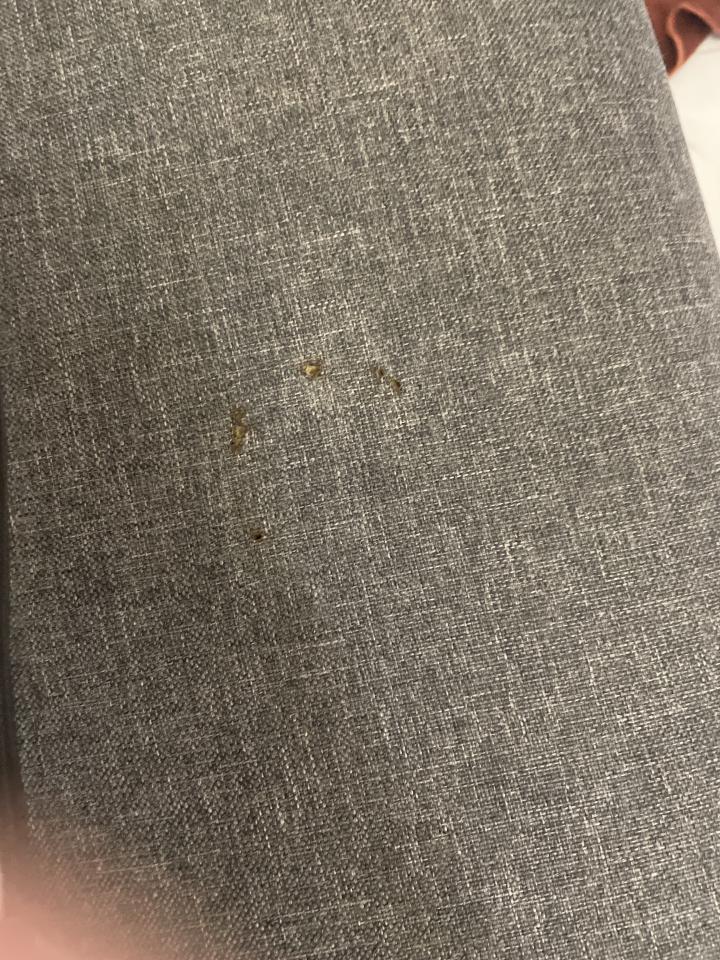 沙發修理案件圖片