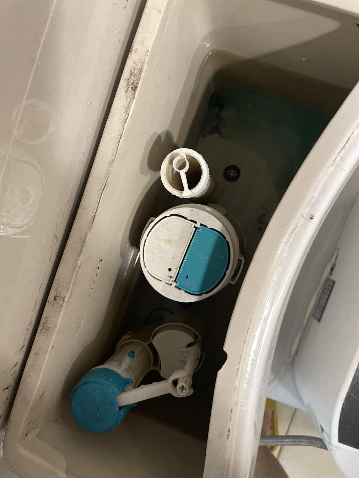 馬桶裝修案件圖片