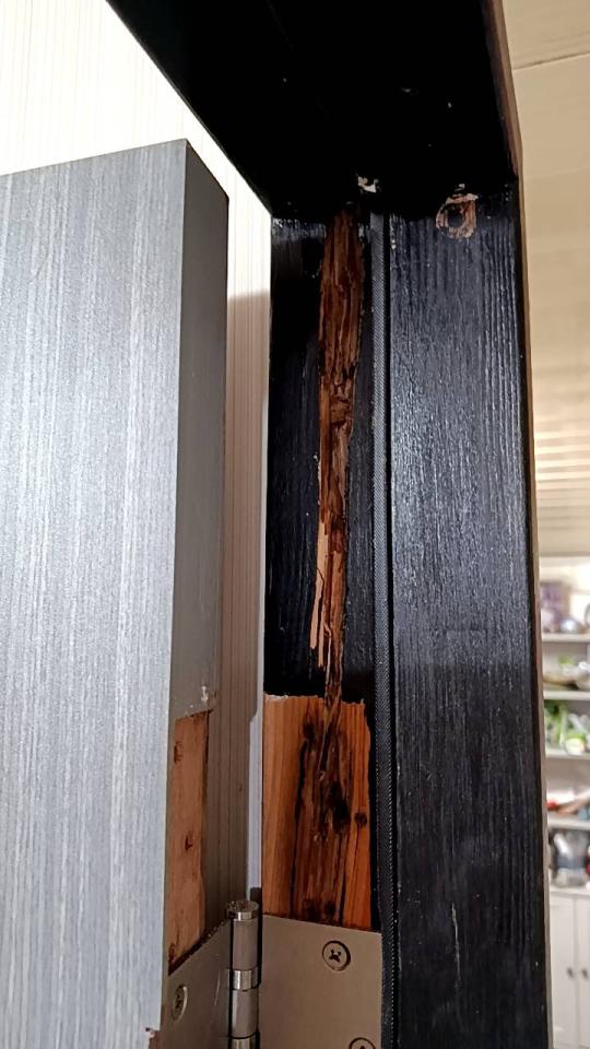 木工施工案件圖片