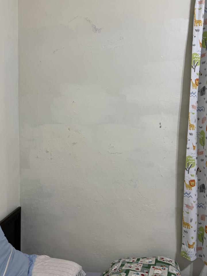 油漆工程案件圖片