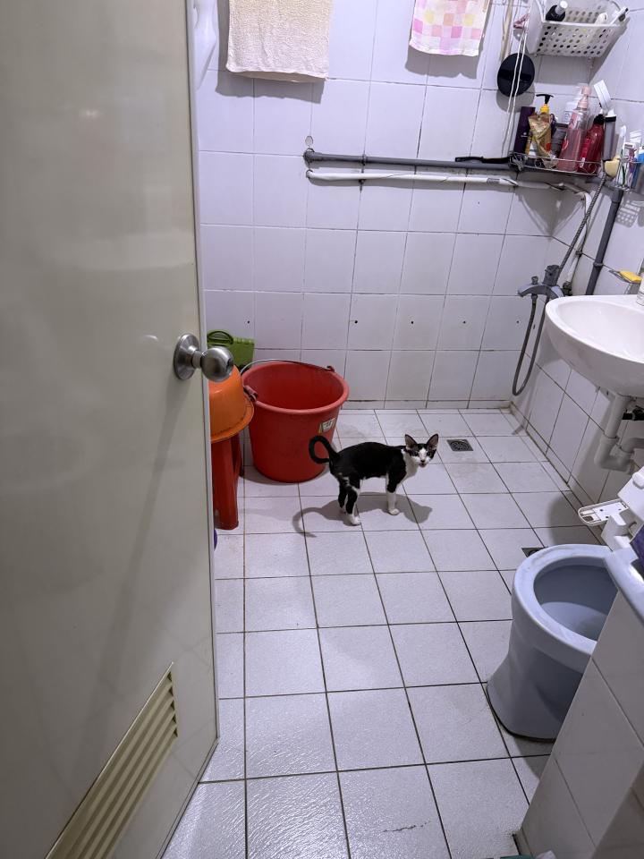 地板施工案件圖片