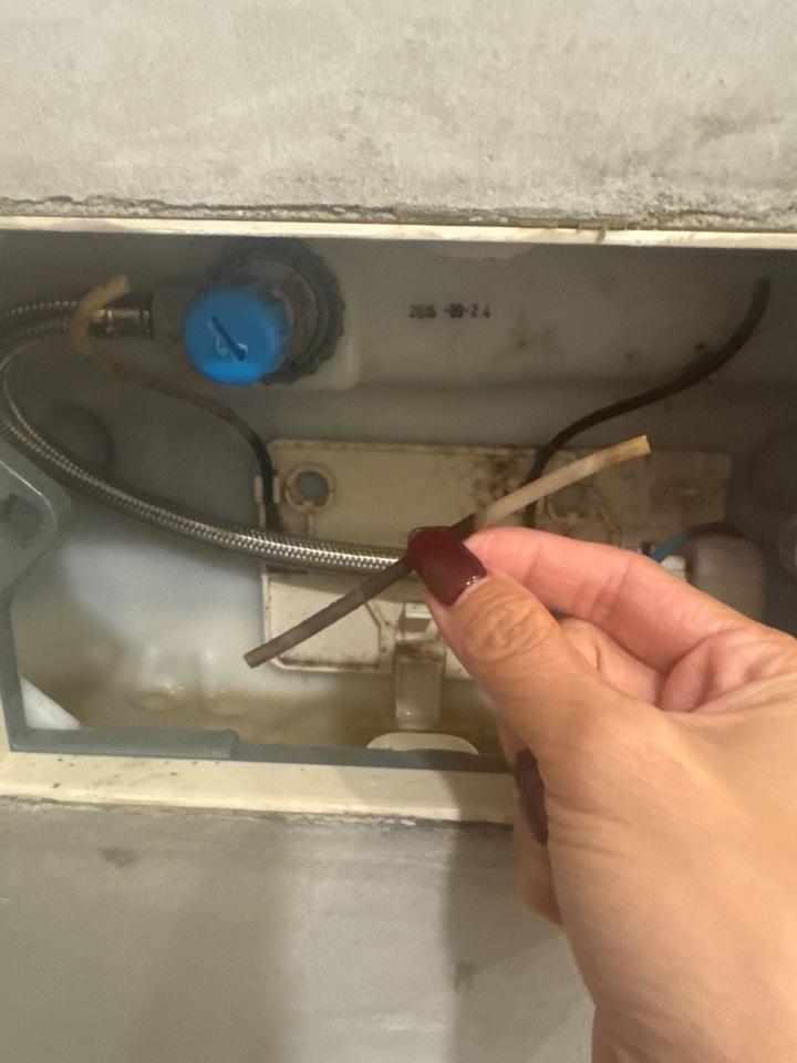 馬桶裝修案件圖片