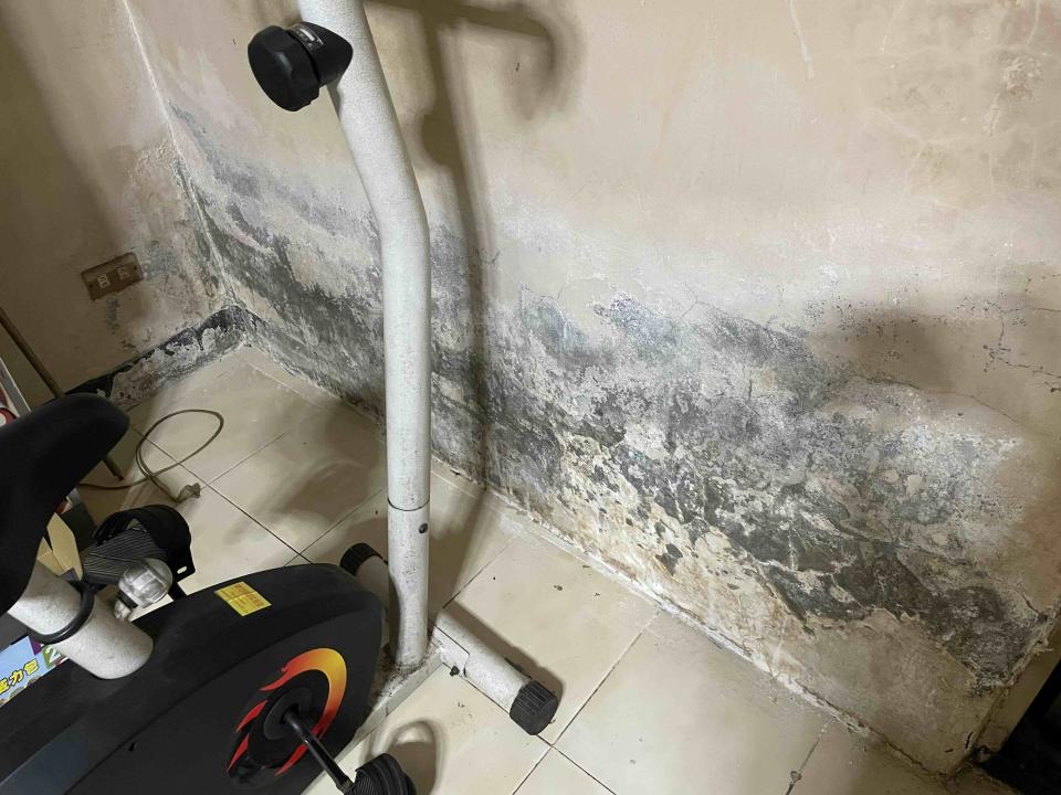 壁癌處理案件圖片