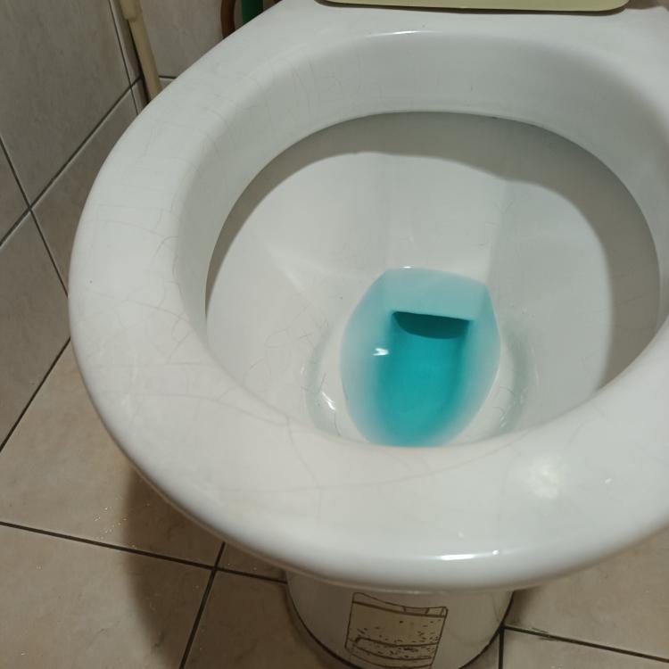 馬桶裝修案件圖片